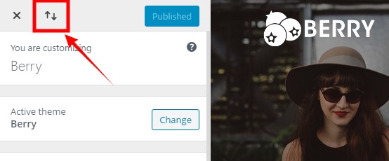 Import Customizer settings