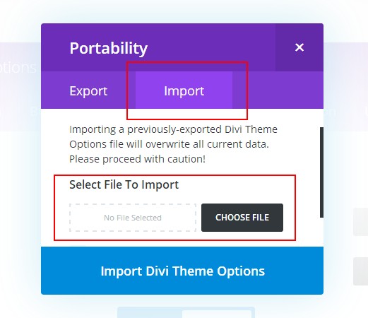 Import Customizer settings