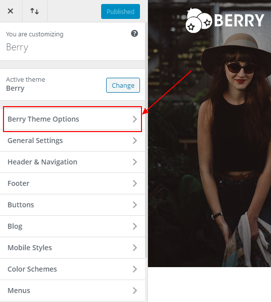 Theme Options